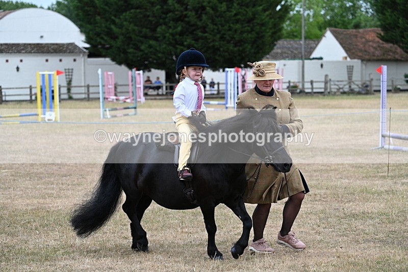WJ7_8515 - Class 4 Prettiest Mare up to 14.2hh