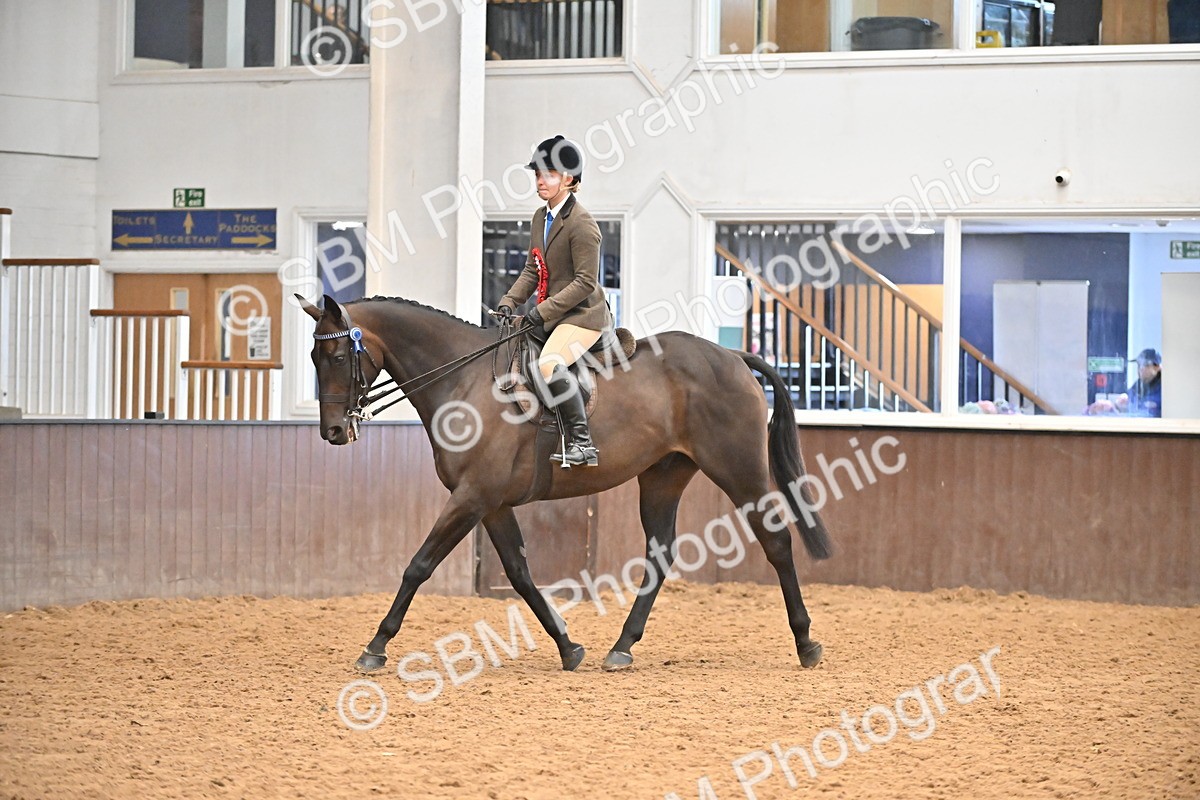 SBM_002708 - Ridden Showing Supreme Championships