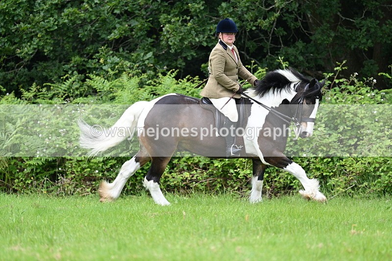 WJ7_2368 - Class 12A Coloured Class
