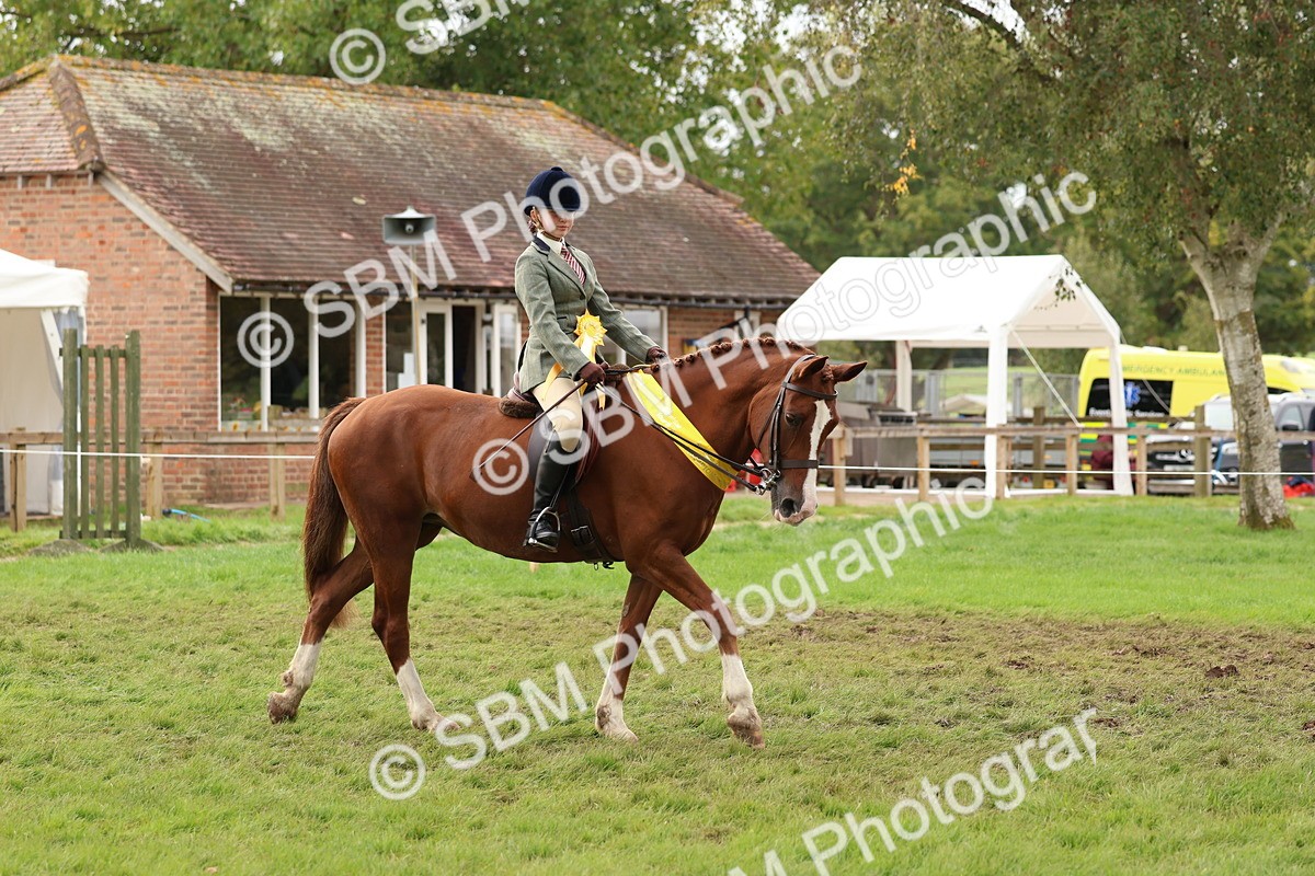 SBM_59761 - Start Supreme Championship