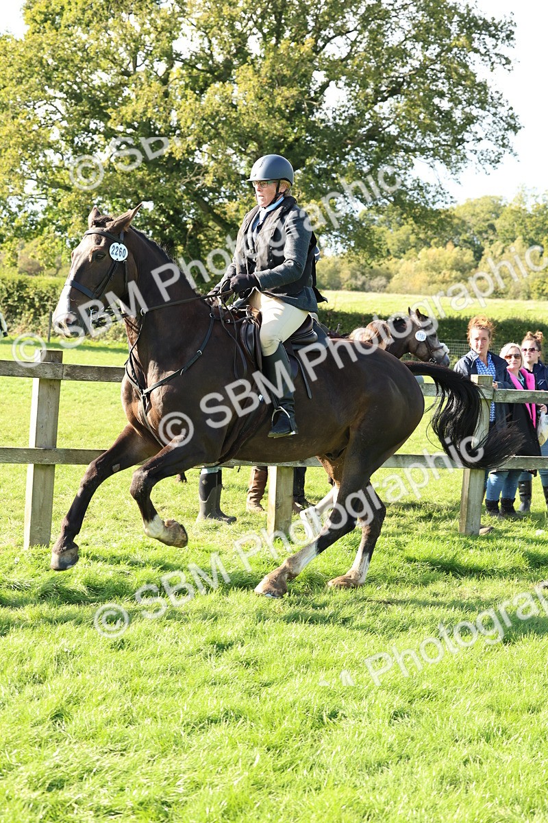 SBM_50157 - S34 - Novice & Newcomers Working Hunter