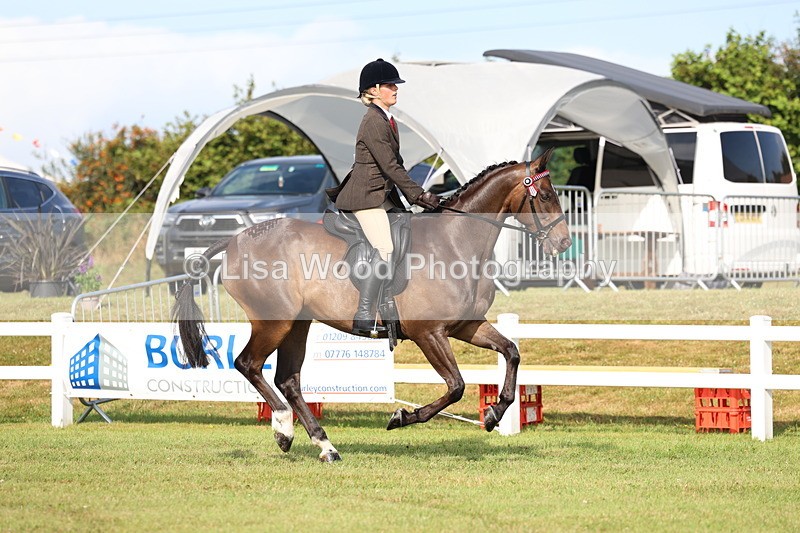 3E7A8274 - Class 2: Rising Star Large Hack/Riding Horse