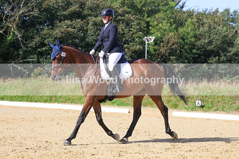 3E7A2542 - Class 1: Intro 4 2024 section A