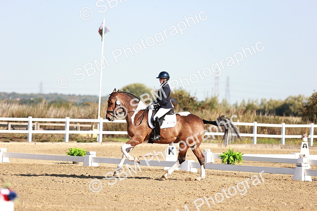 SBM_004237 - Class 12 - Novice 5 - 9.07-10.10