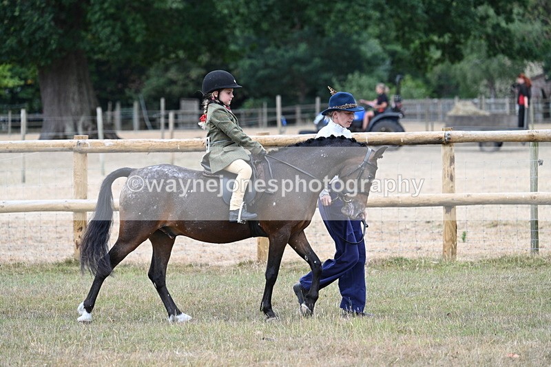 WJ7_0647 - Class 6 Ridden Mountain and Moorland