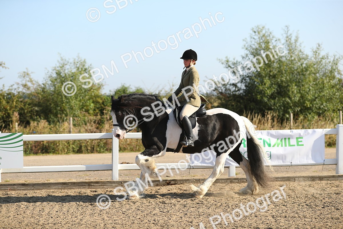 SBM_01141 - Class 42 Ridden Veteran