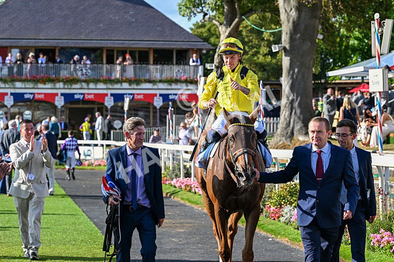 220826-Race 7-Raammee-1980 - Race 7 17.20pm Sky Bet Dav Reid Finale Handicap