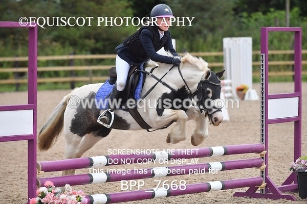 BPP_7668 - CLASS 1 Unaffiliated 60cms Open