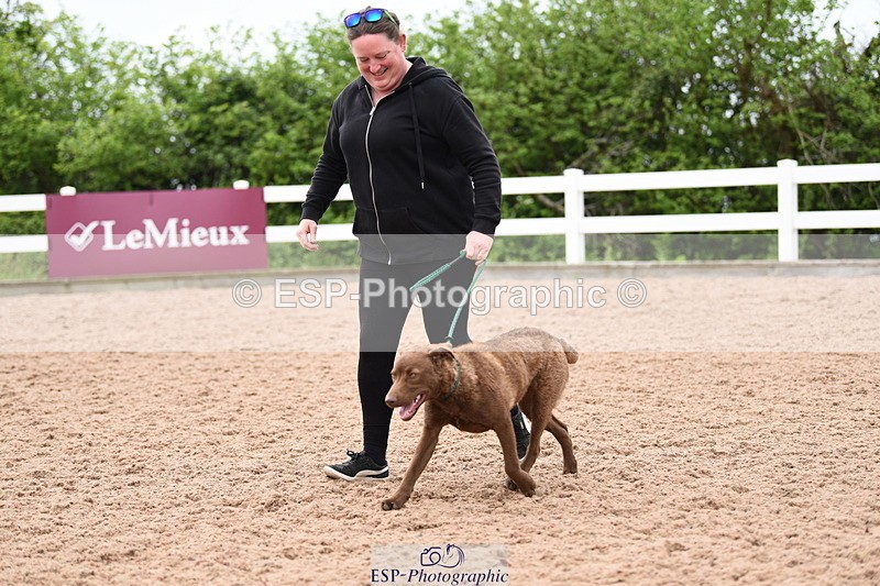 240518A-112204-00761 - Cls 1 Cutest Puppy