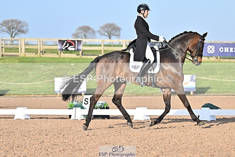 250404-181120-08559 - 159-Darren.Hicks-Tramontana.Tiger.Feet