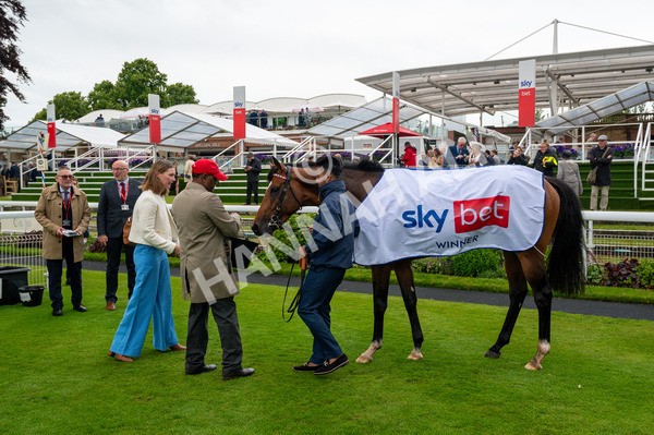 150624-Race 3-Klondike-4774 - Race 3 3.00pm Sky Bet Race To The Ebor Grand Cup Stakes