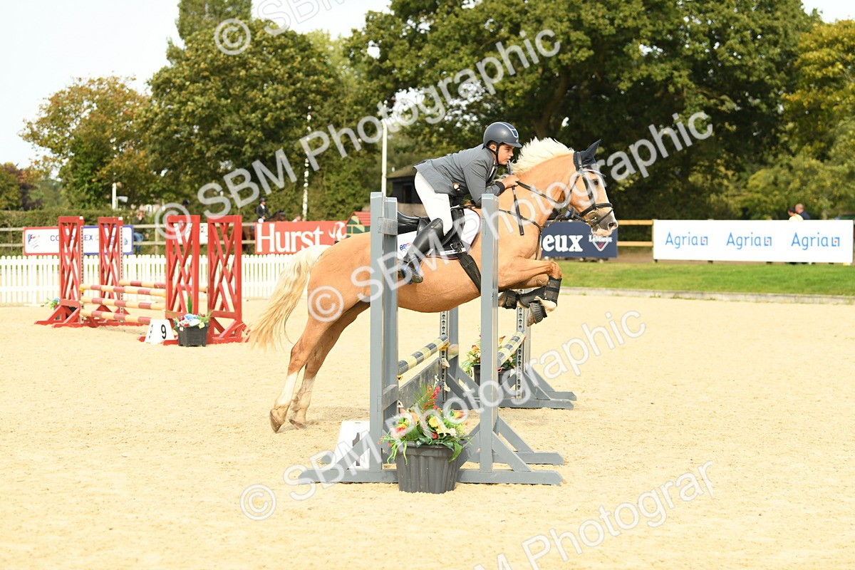 SBM_70981 - J15 - Junior Pony 70cm Championship
