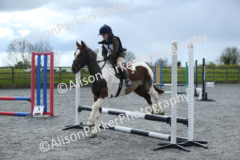20260412-1732 - Show Jumping