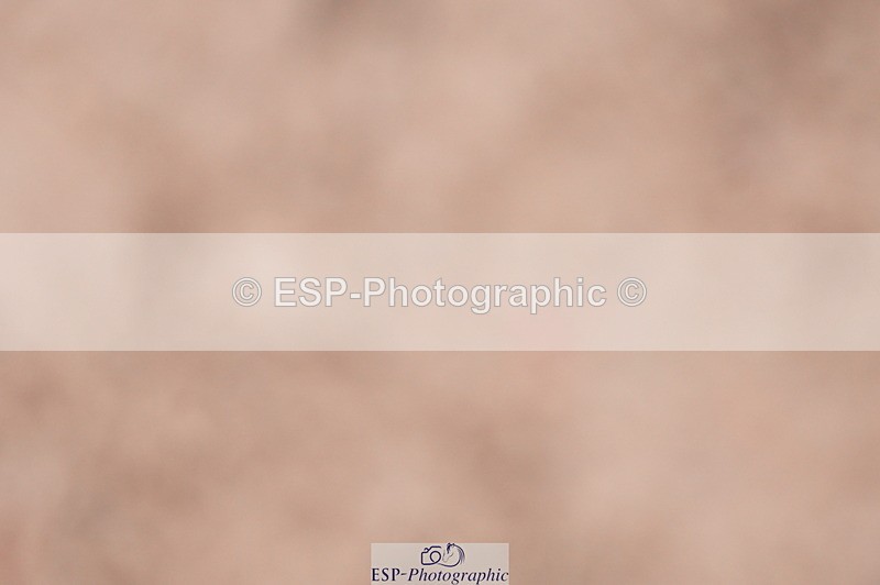 240505A-102148-04520 - Cls 14 & 15 Club & Schools 70cm