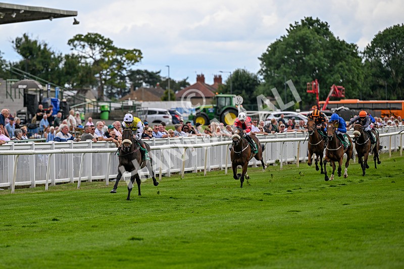 010726-Race 2-Arapaho Gold-7741 - Race 2 13.38pm British EBF Restricted Novice Stakes (Div II)