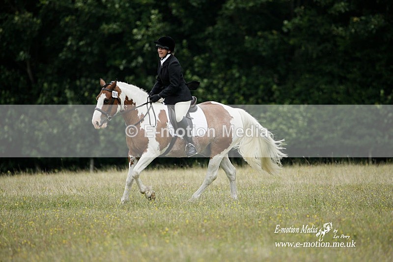 BVRC 030721 85 - Bourne Valley Riding Club Dressage 03/07/21