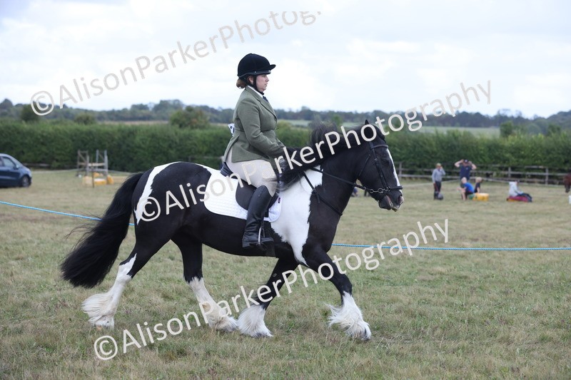 20250831-4231 - Class 20 - Ridden Coloured