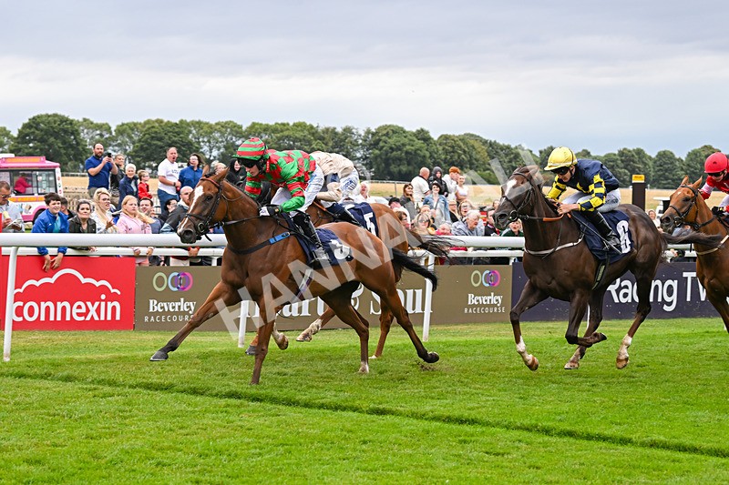 150824-Race 4-Opal Storm-8081 - Race 4