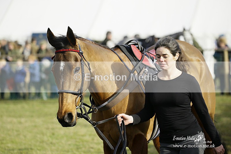 PtP 300122 304 - South Dorset Hunt - Point-to-Point Races 30/01/2022