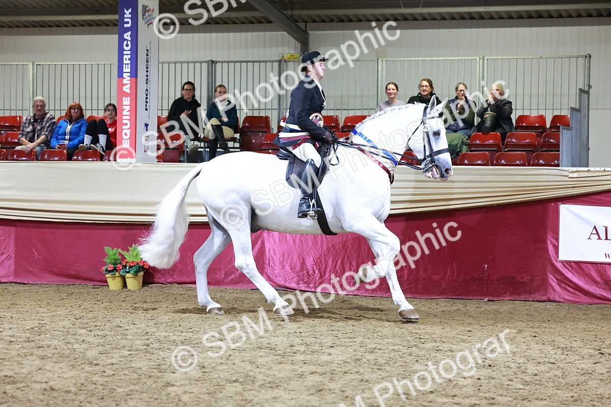 SBM_21170 - class Q - Ridden Horse Champ