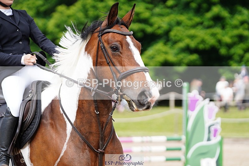 250615A-085354-09742 - Class 42 85cm Amateur Qualifer