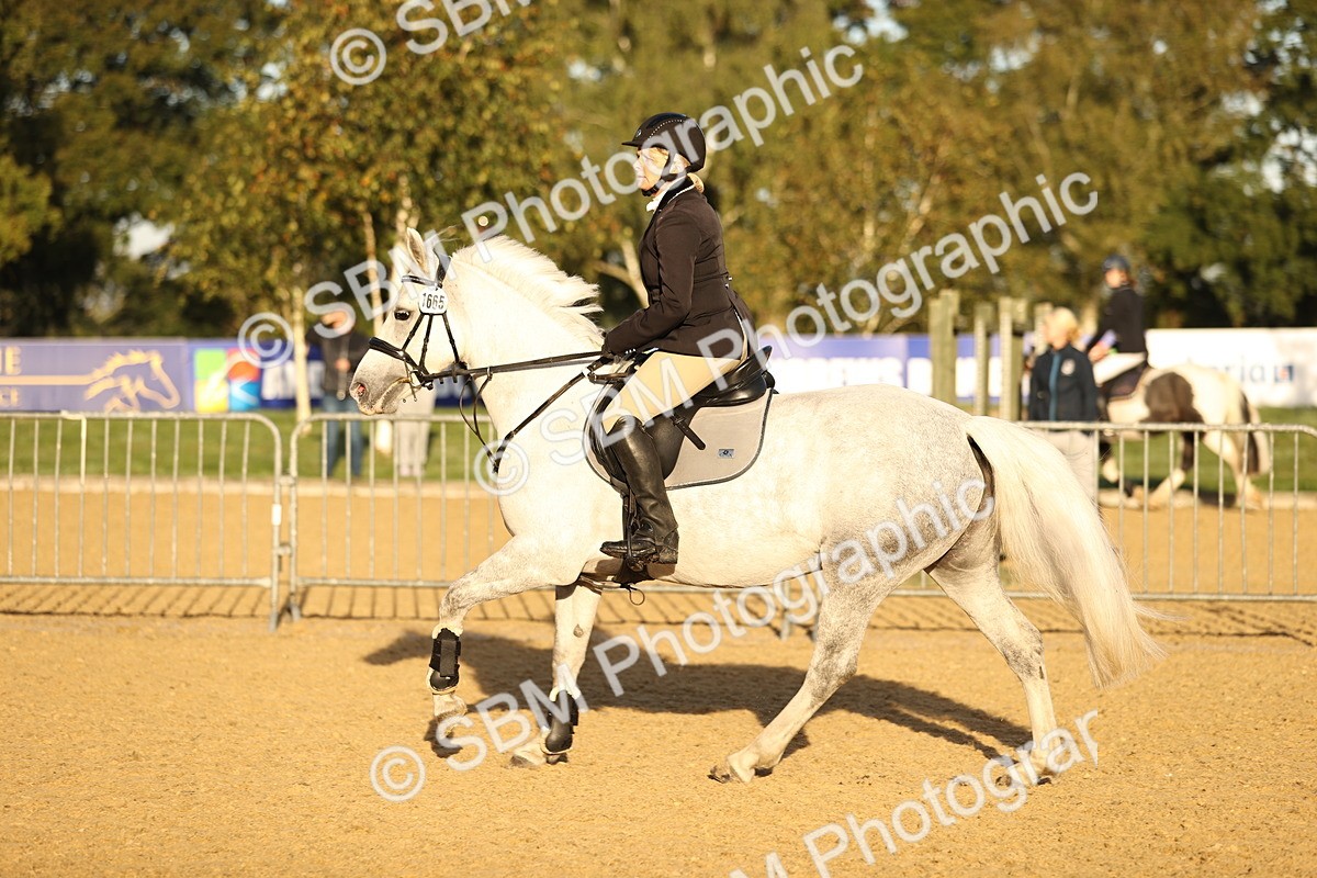 SBM_32909 - J38 - Senior 80cm Championship