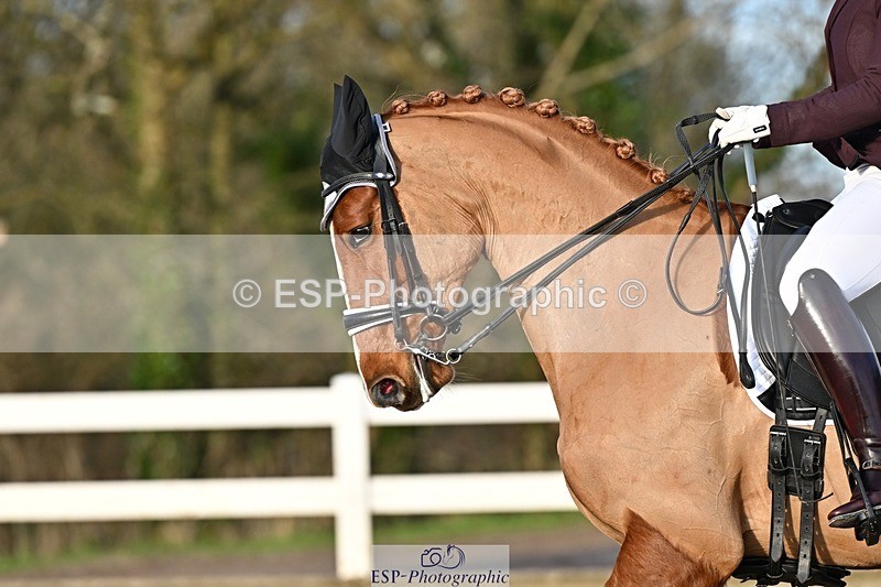 241214-142243-02818 - 112-kelly.jewell-Avalon