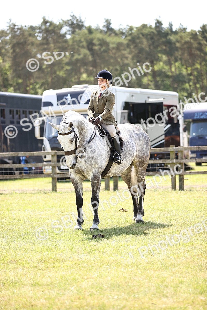 SBM_16135 - Class 79-80 - LIHS BSHA Rising Star Ridden Hunter