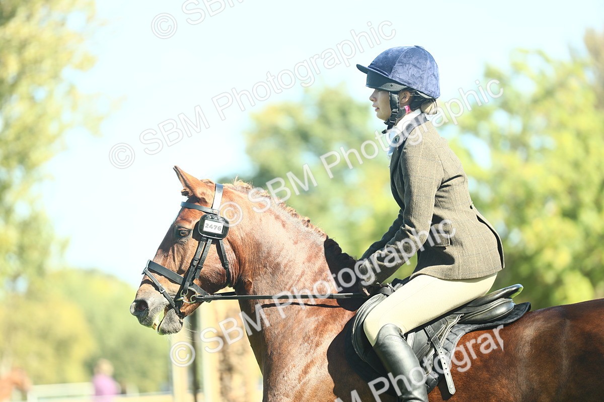 SBM_39163 - S29 - Novice & Newcomers Working Hunter Pony