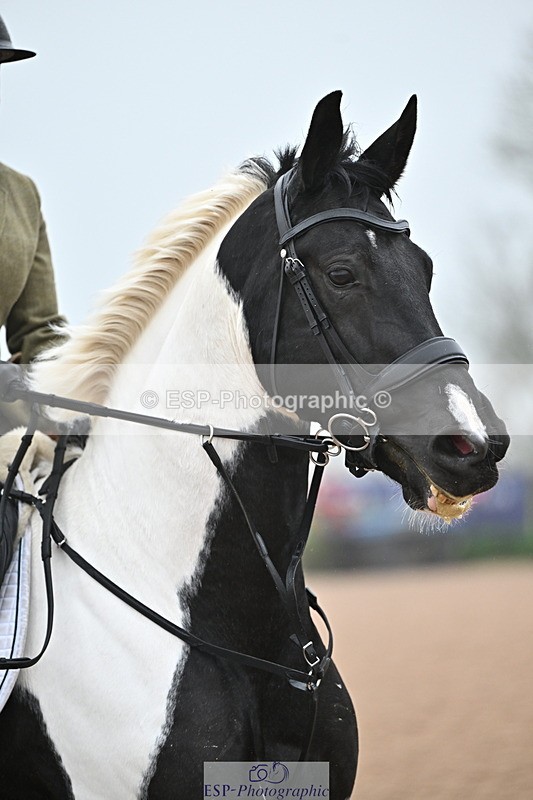 241103A-104731-06754 - SUN Cls 18 British Novice and 90cm Open