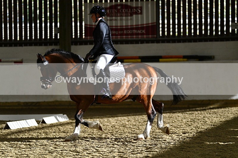 WJ5_7293 - Class 2 Intro Test 2