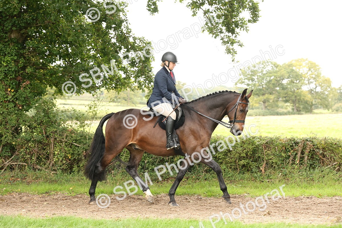 SBM_66289 - S66 - Hunter Ridden