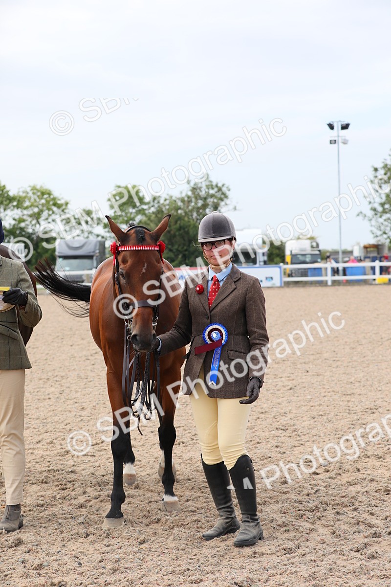 SBM_15969 - Class 313 IH Retired Racehorse