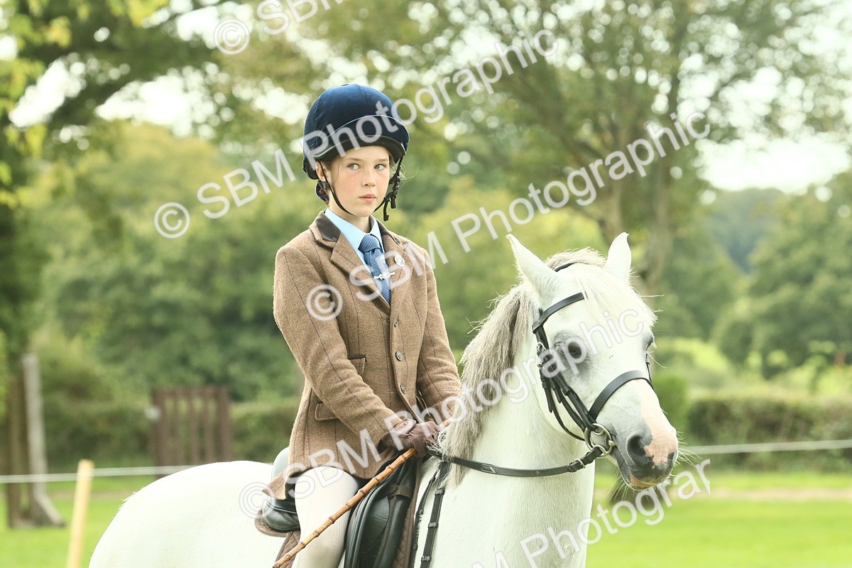 SBM_69910 - S59 - Mountain & Moorland Ridden Small Breeds