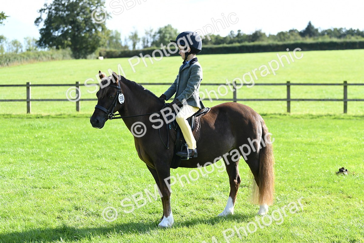 SBM_50394 - S21 - Novice & Newcomers 1st Ridden Pony