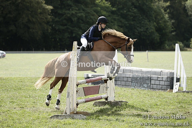 BVR090918 596 - BVRC Dressage and Show Jumping 09/09/18