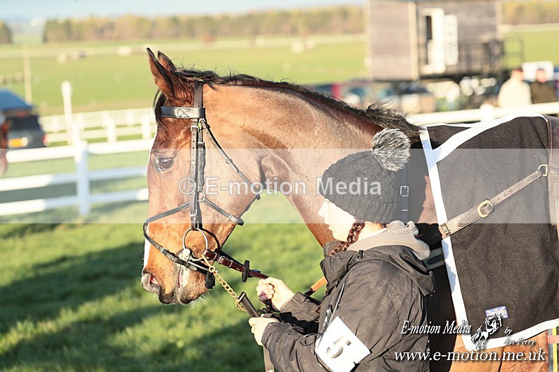 PtP 301125  0868 - Hursley Hambledon Point-to-Point Larkhill Racecourse 30/11/2025