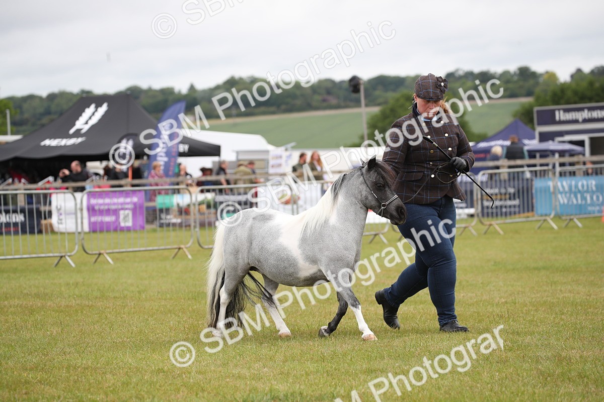 SBM_03966 - Class 23-25 - British Miniature Horse of the Year