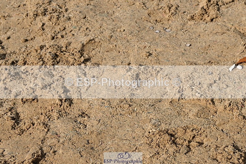 251004A-134207-01323 - Classes 6 & 7 60cm