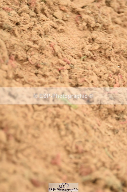 230610A-154250-04098 - Cls 25 Team Competition