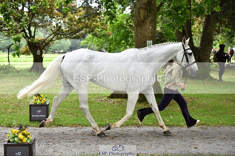 240522-160958-00751 - 156-JAG_WOMANIZER_LADY-Beatrice_Montgomerie