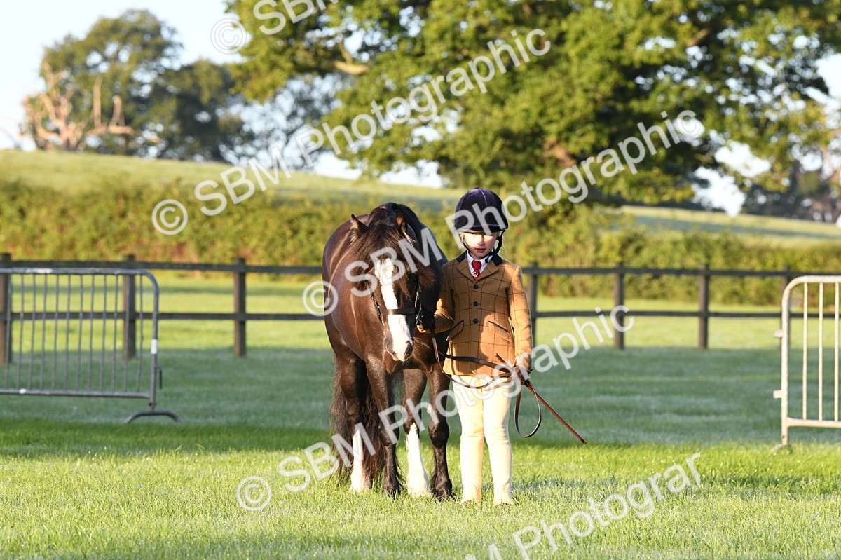 SBM_32500 - S15 - Condition & Turnout In Hand