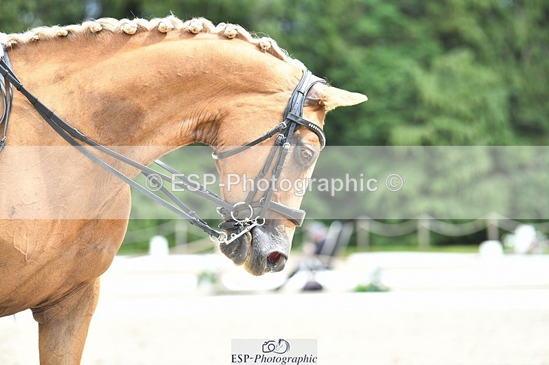 230812-144232-04774 - Cls 7 FEI PSG Bronze