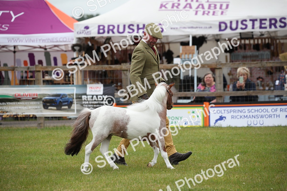 SBM_03709 - Class 23-25 - British Miniature Horse of the Year