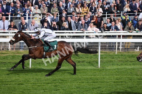 yr13052022r5-21 - Race 5 4.10pm Paddy Power 'Fill Thi Boots' Stakes