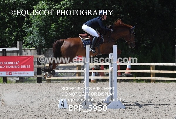 BPP_5950 - CLASS 7 Senior Foxhunter/ 1.20m Open