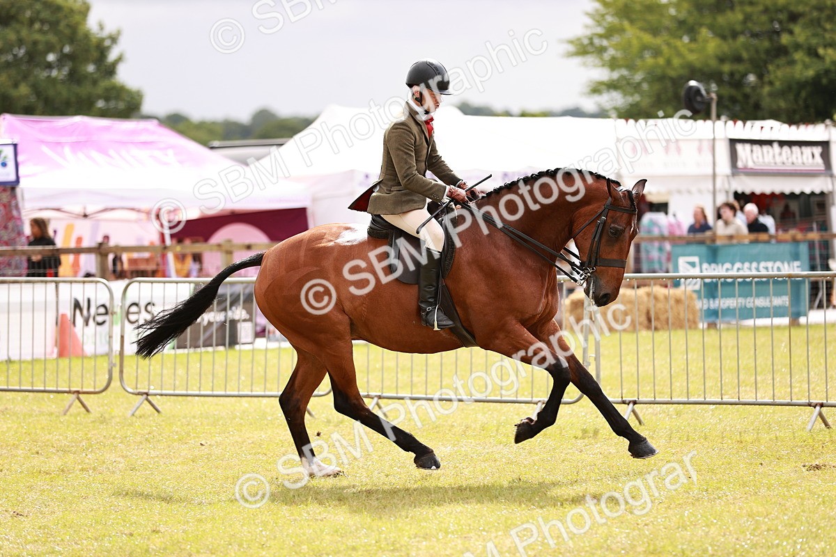 SBM_11562 - Class 81-84 - RIHS Ridden hunters Inc Ladies Hunter