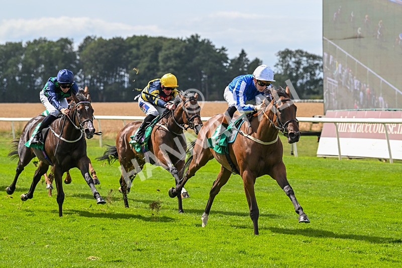 080825-Race 2-Daneh Of Dandy-1995 - Race 2