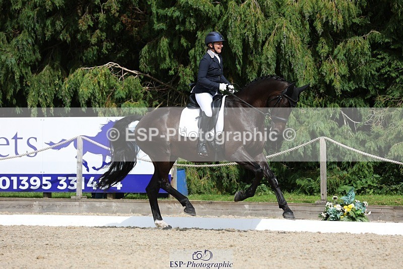 230812-152713-05136 - Cls 5 Novice Bronze 15.00 to End