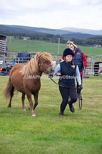 DSC_0323 - Ring 1